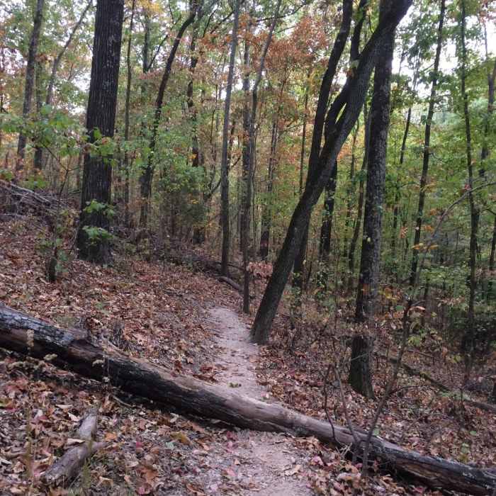 Near Ridge & Valley Trail