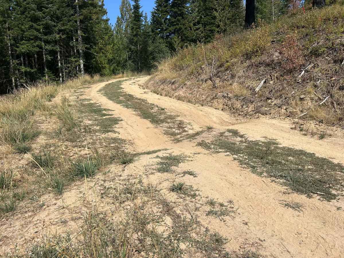 Gold Hill - FS 770-A  photo 4