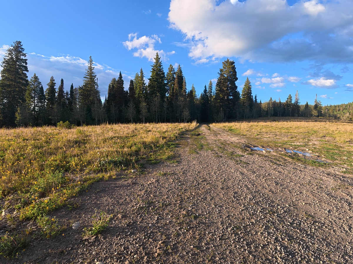 Elk Ridge Road - FS 248 trail photo