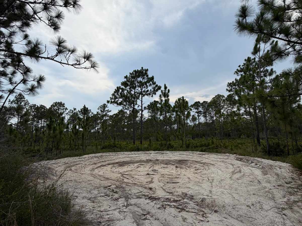 Muddy Crossings photo 6