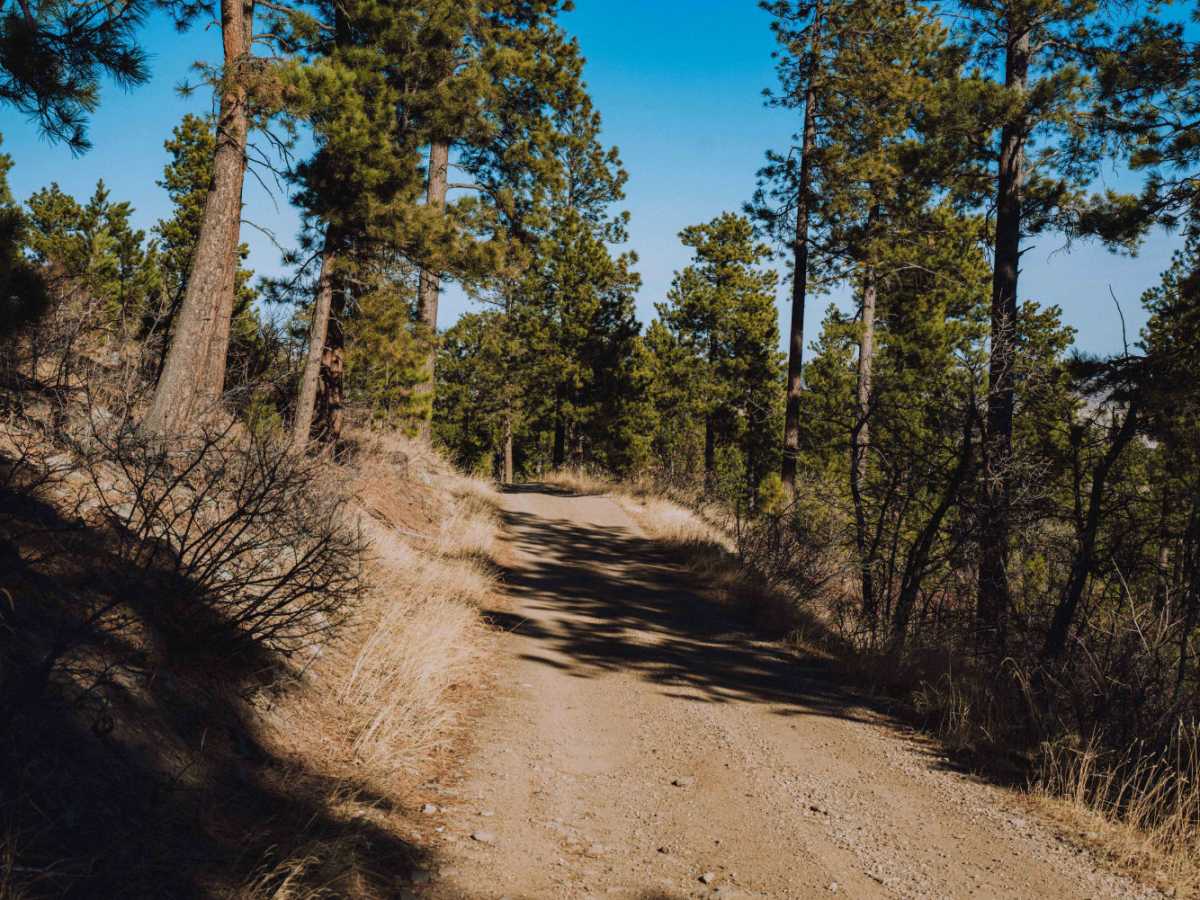 Spearfish Mountain photo 3