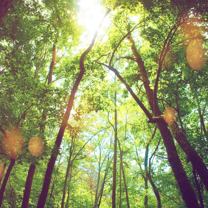 Near Pine Mt. and Cooper's Furnace Tour