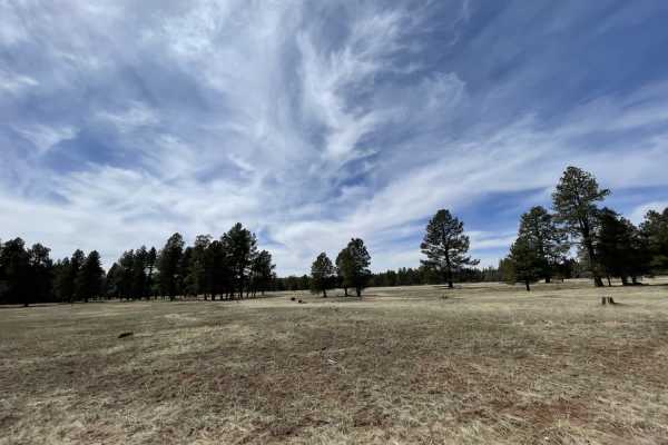 Old 354 Road to Pine Flats