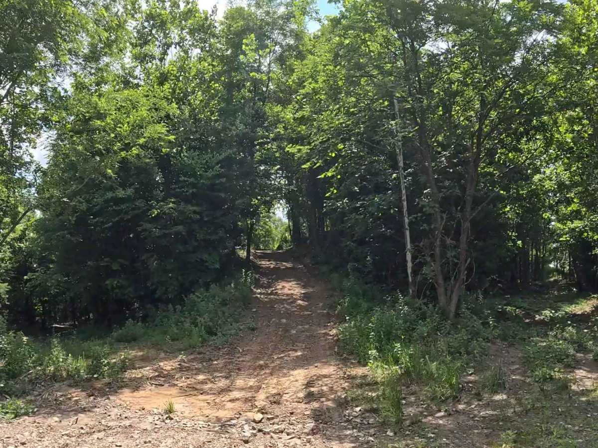Q11 trail photo