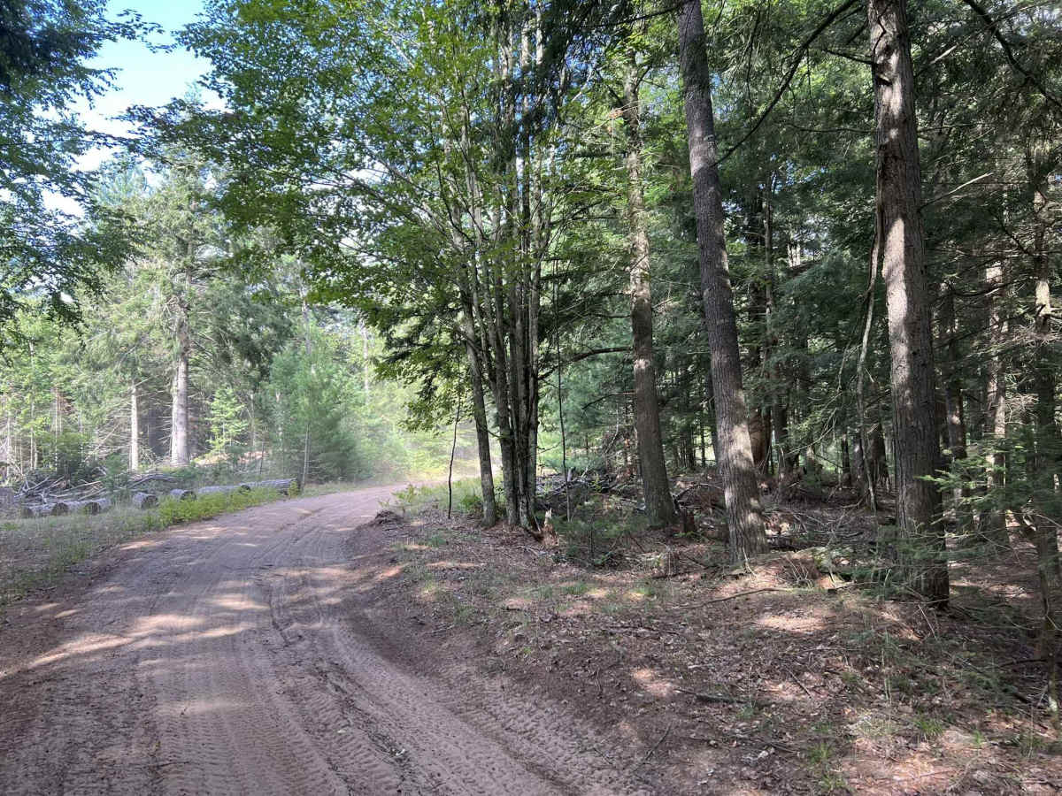 Route FIT West photo 4