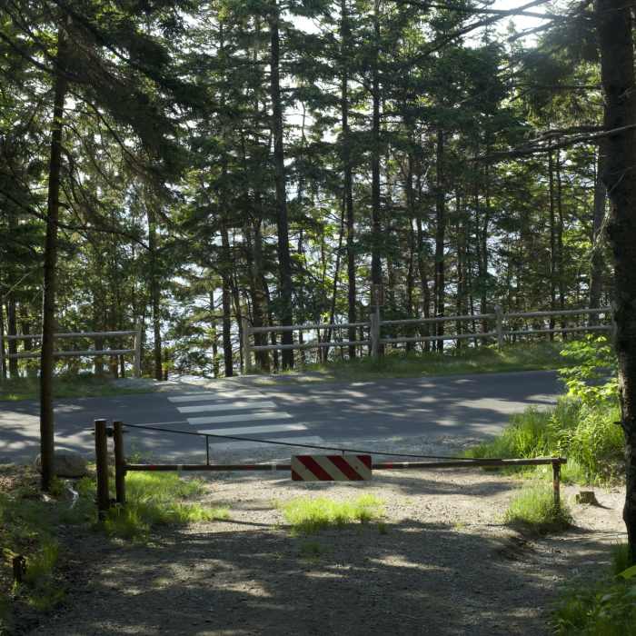 The trail emerges at the Park Loop Road, where there is a marked crossing that allows you to cross safely and enjoy great views of the ocean. Near Ocean Path