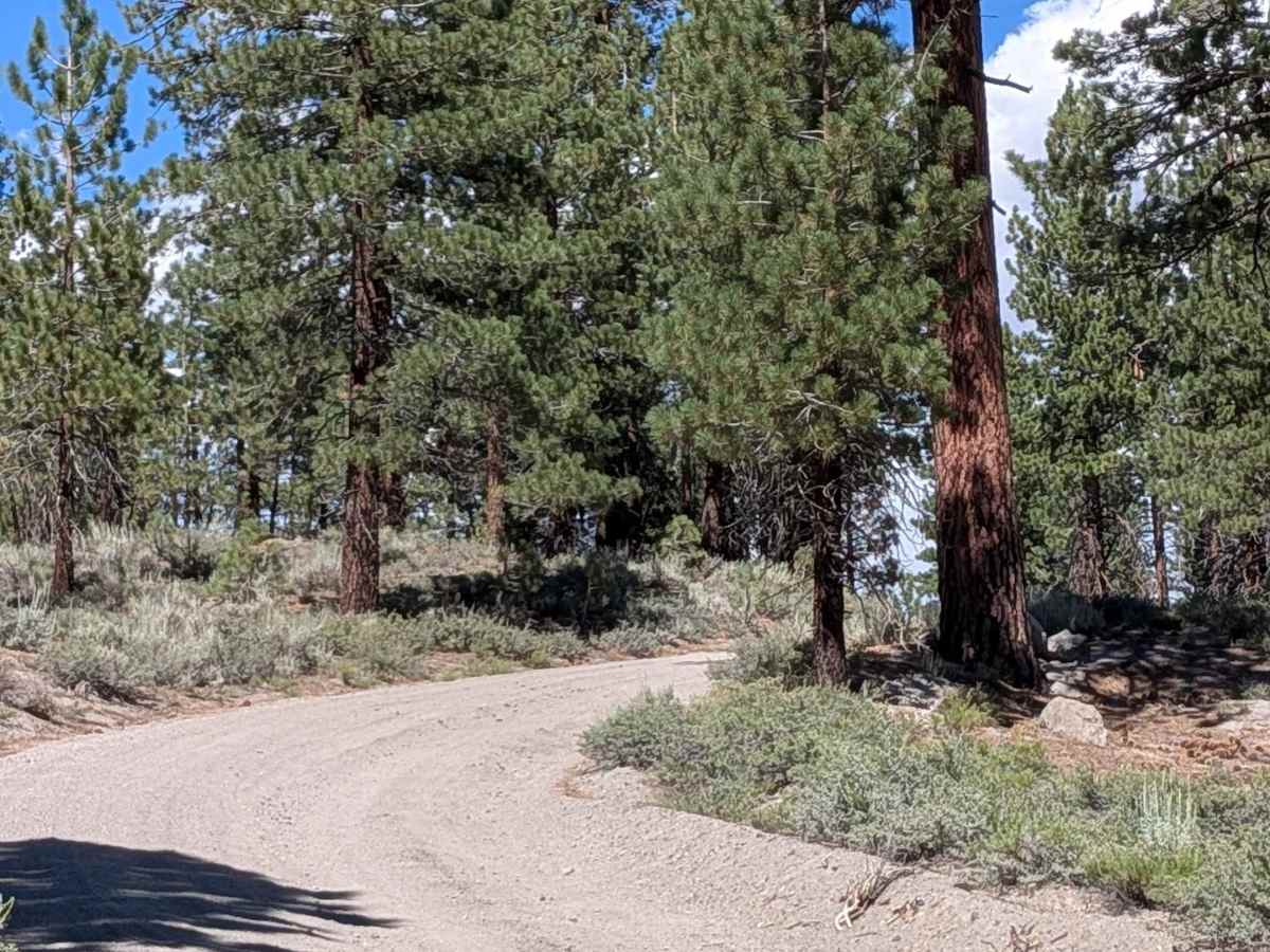 Big Springs Road FS 32E601 photo 4
