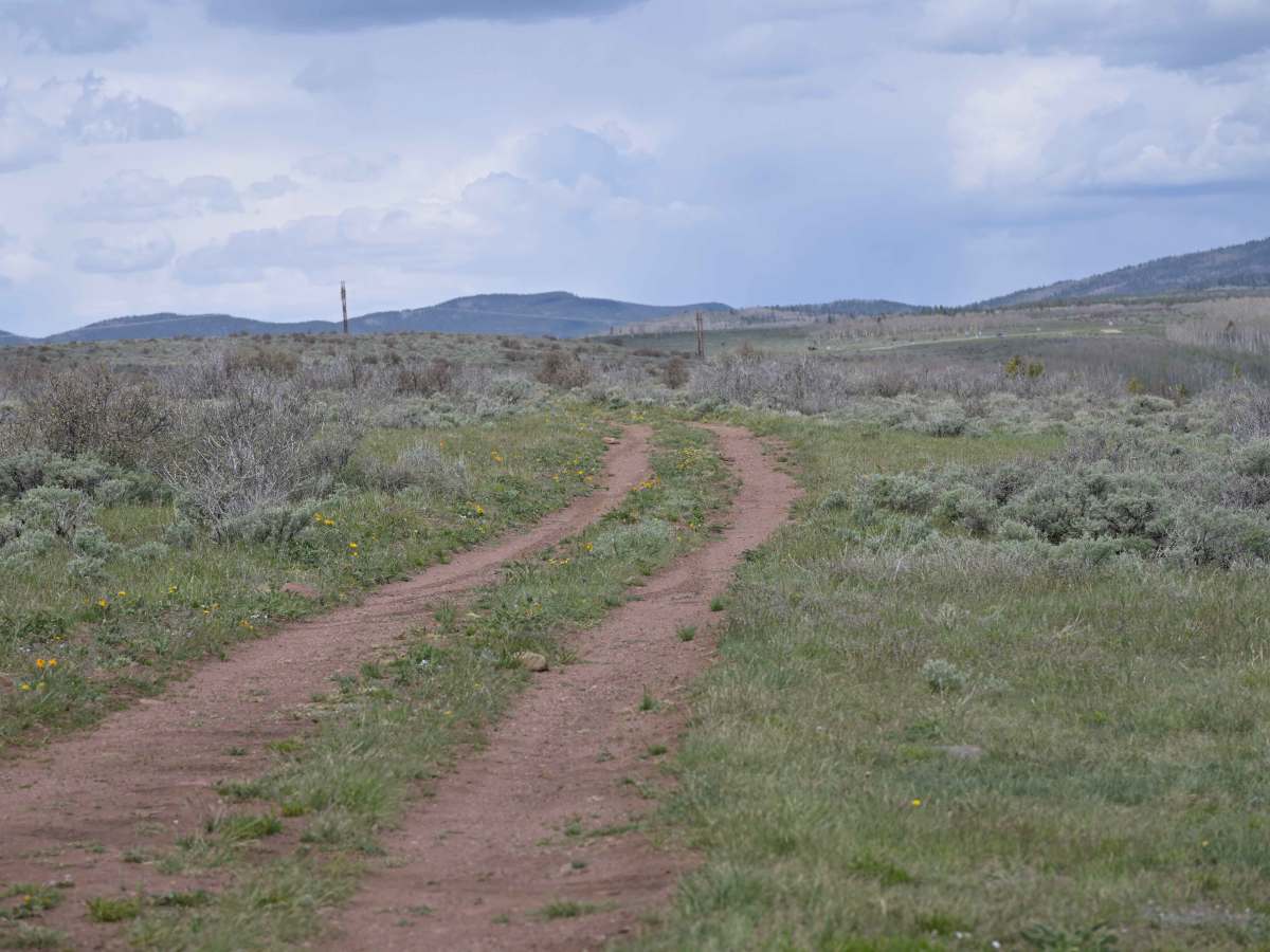 Little Brush Creek - FS 10052 photo 6