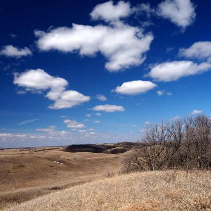 Near High Peaks Trail