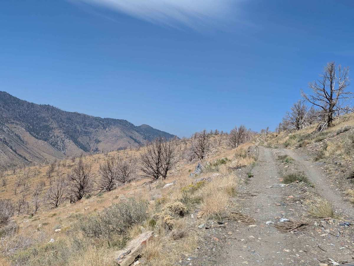Napoleon Canyon Road - FS 32092 trail photo