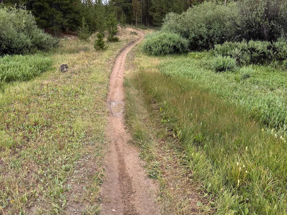 Snyder Creek Loop trail photo