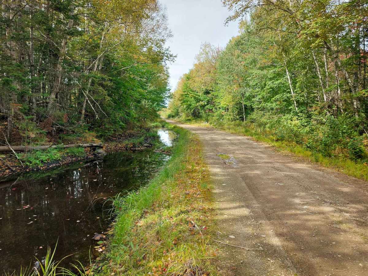 Gravel Island Road photo 6
