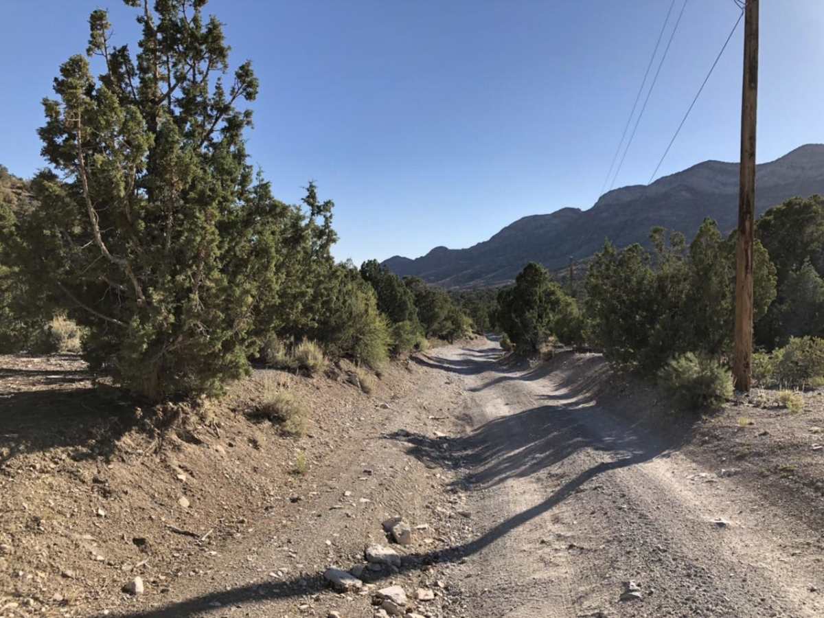 Potosi Pass Road photo 6