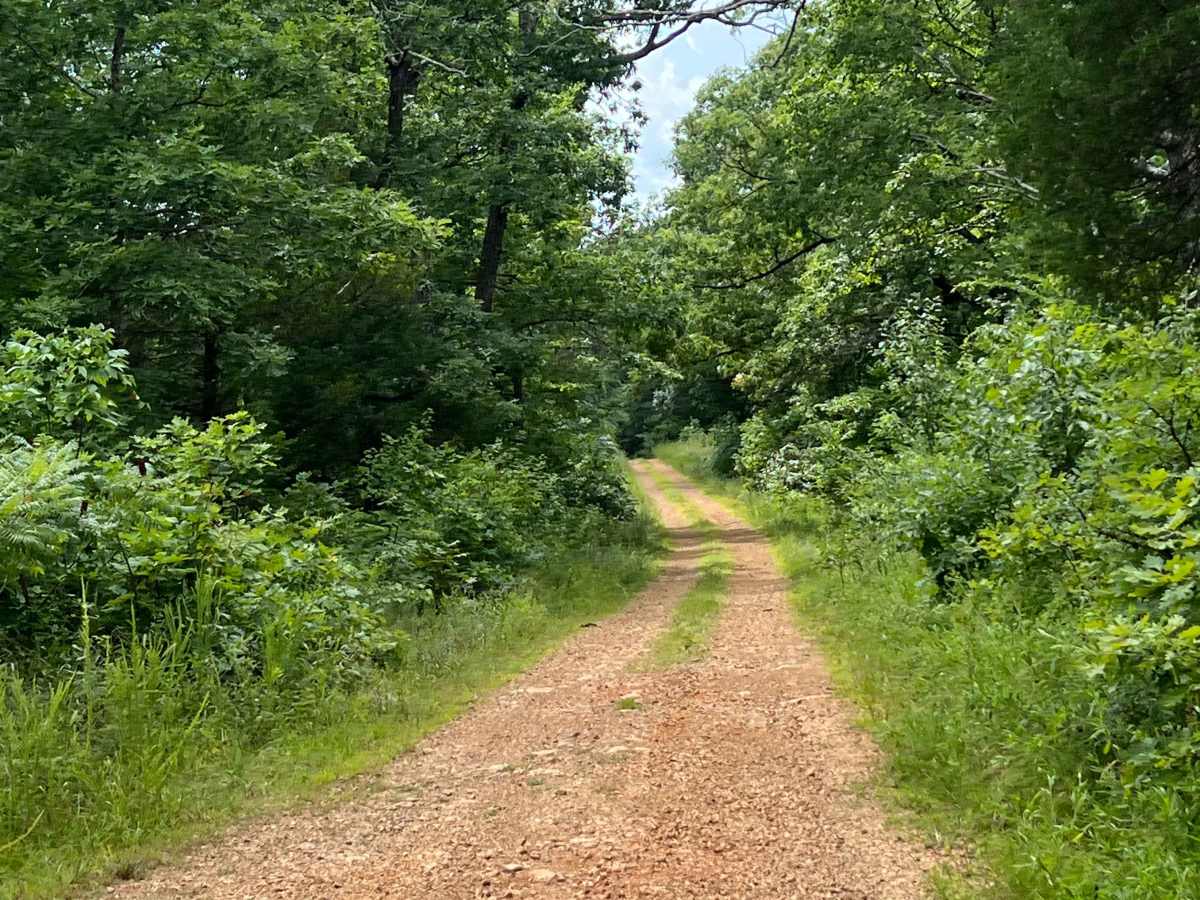 Hatley Mountain Road trail photo
