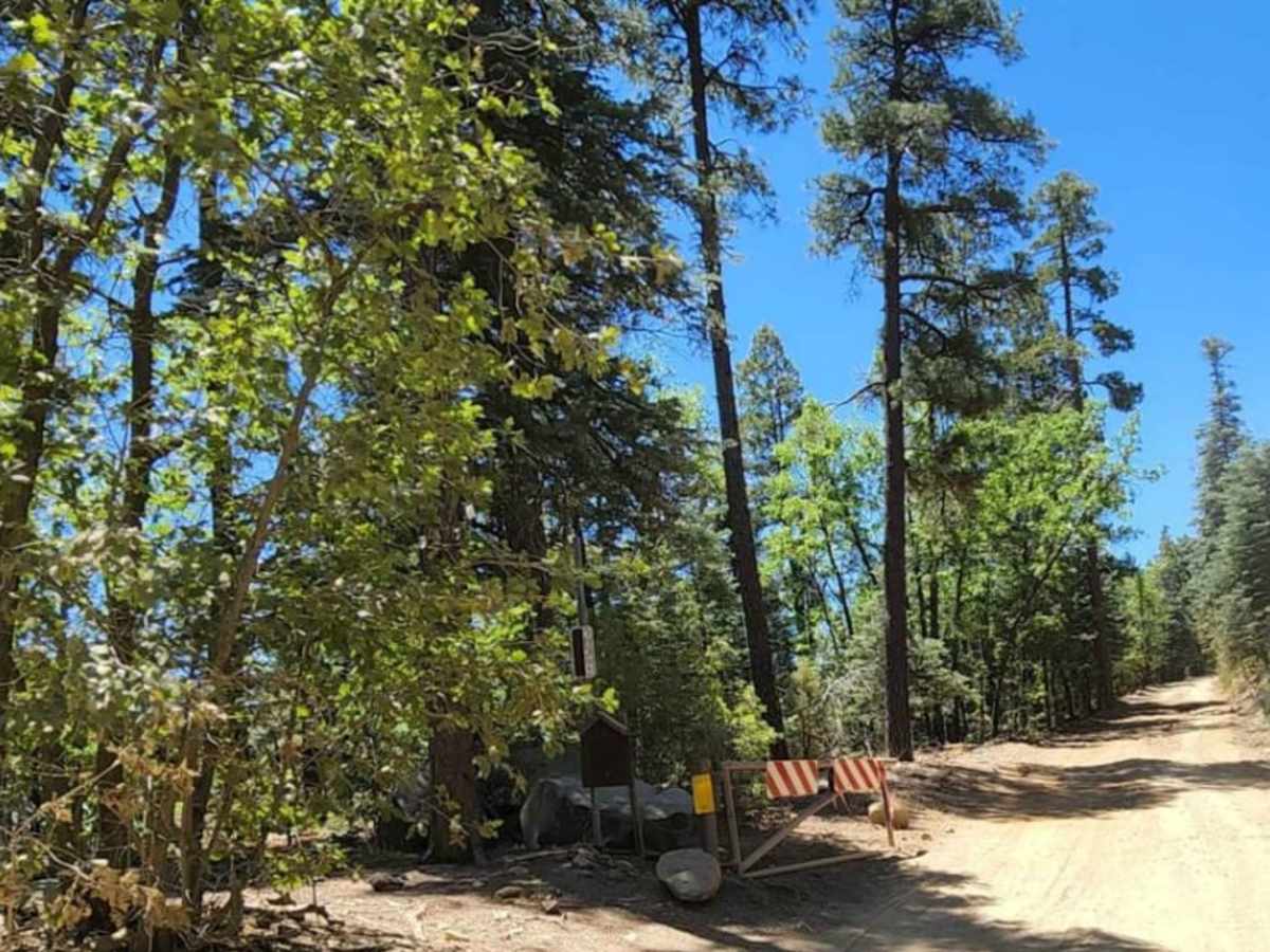 Spruce Mountain Lookout photo 5