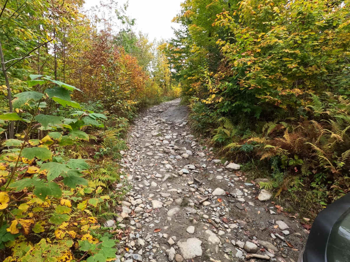 Lowell MTN / Baily-Hazen Military Road photo 5