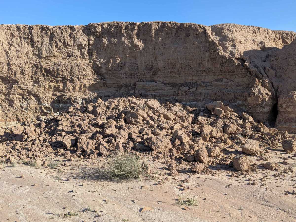 BLM 331 photo 2
