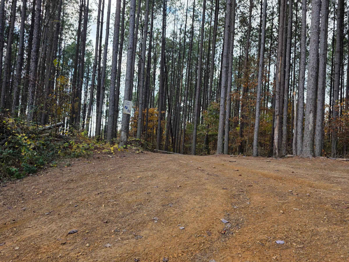 High Point Hill photo 4