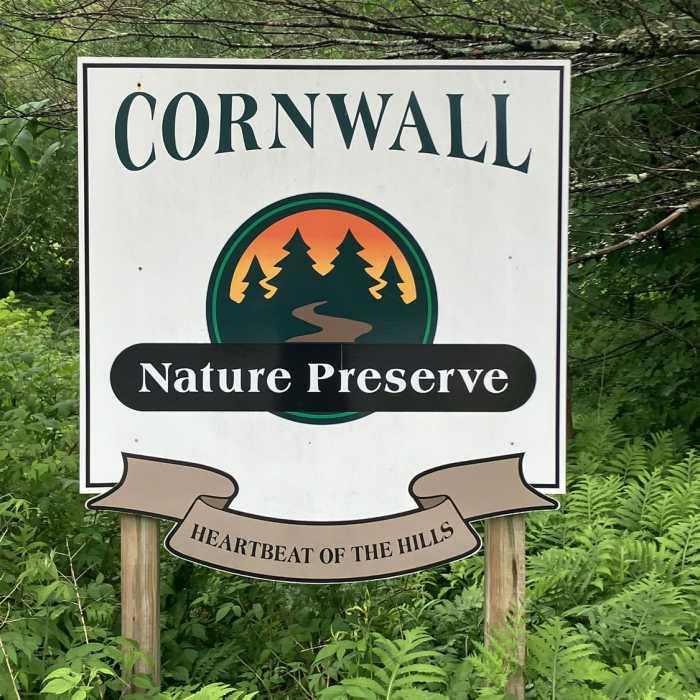 Near Enchanted Forest