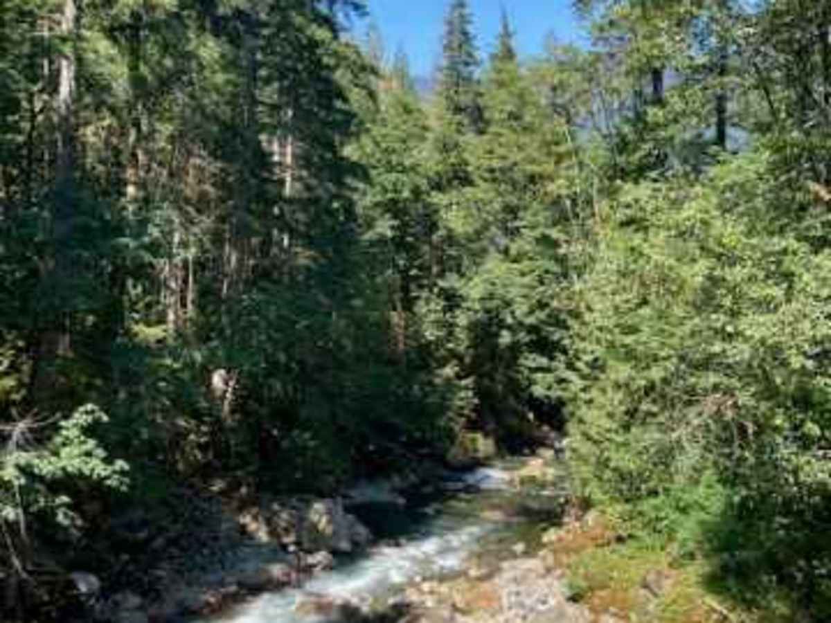 Money Creek photo 6