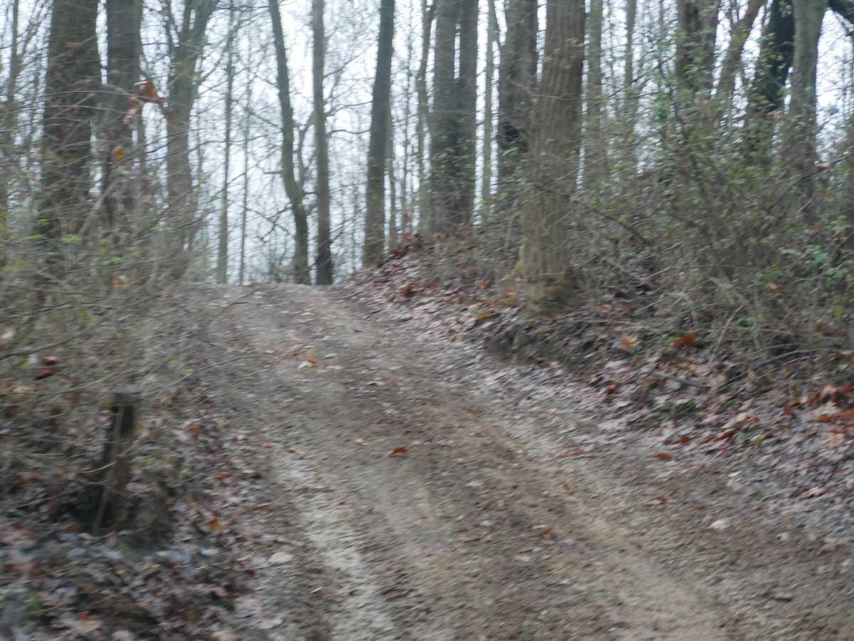 Trail 44 photo 5
