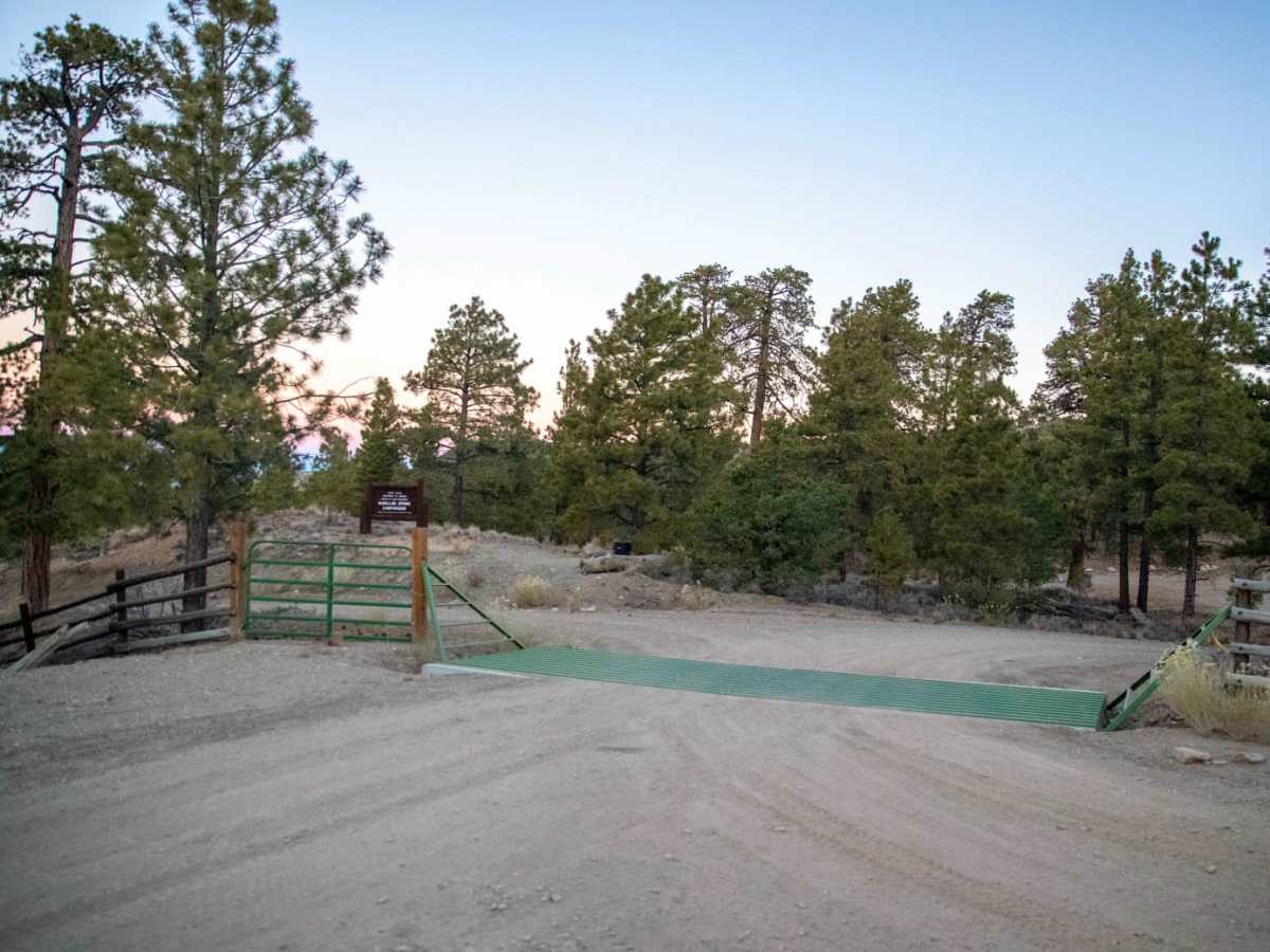 McMIllan Springs Road photo 6