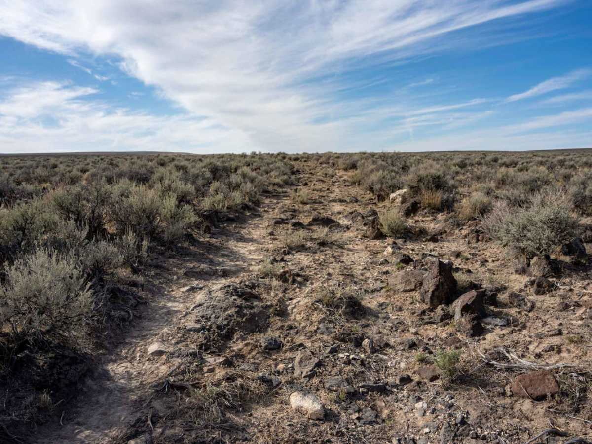 Eastern Alvord Desert Plateau photo 6