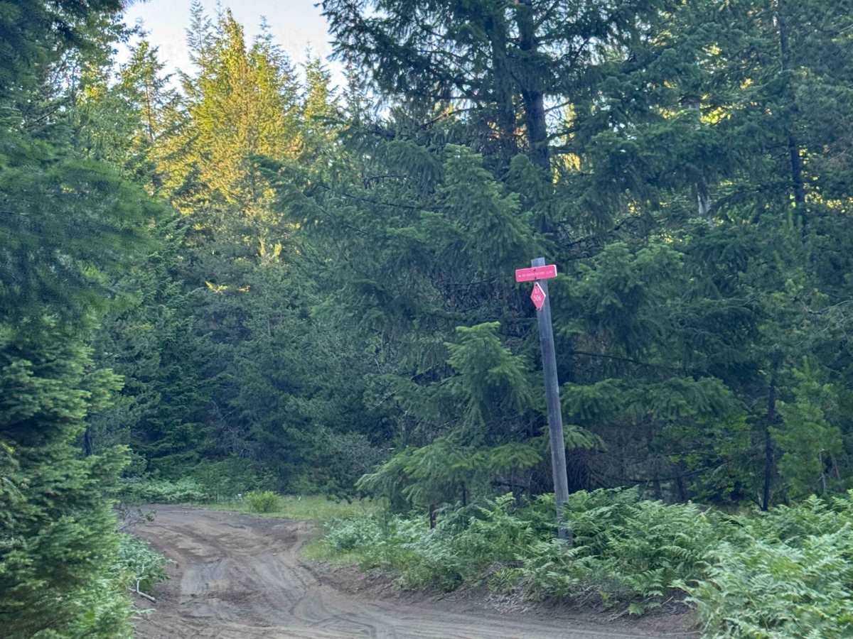Dollar Nine Lake - FS 2076-730 trail photo