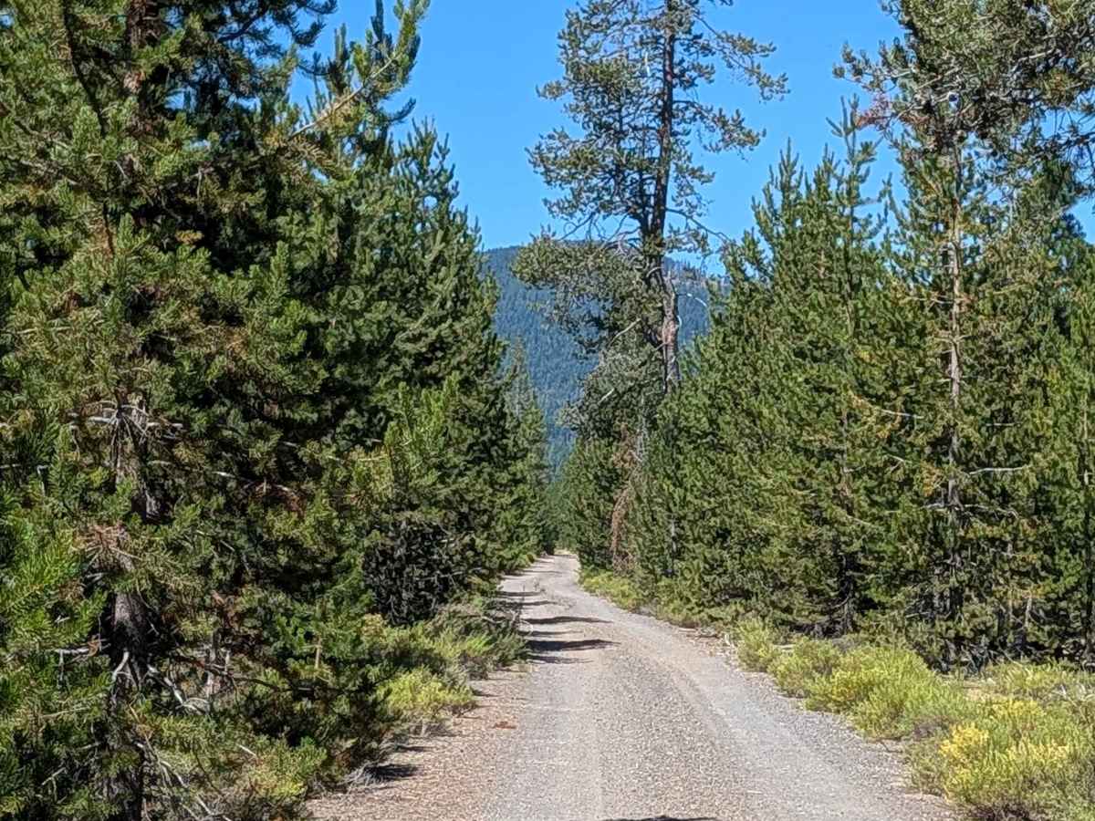 Hambone East - FS 41N23 trail photo