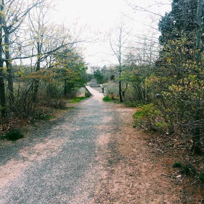 Near Hooks Creek Lake Path