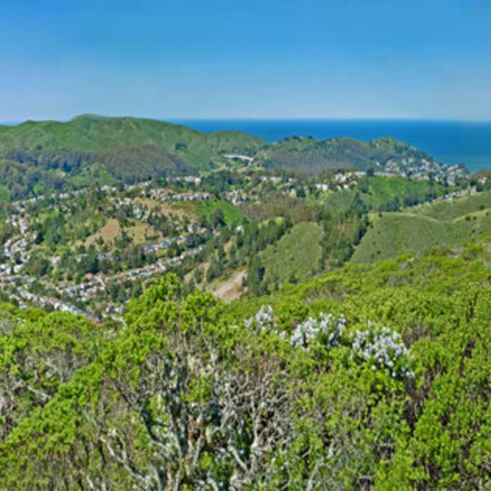 Near Sweeney Ridge Loop