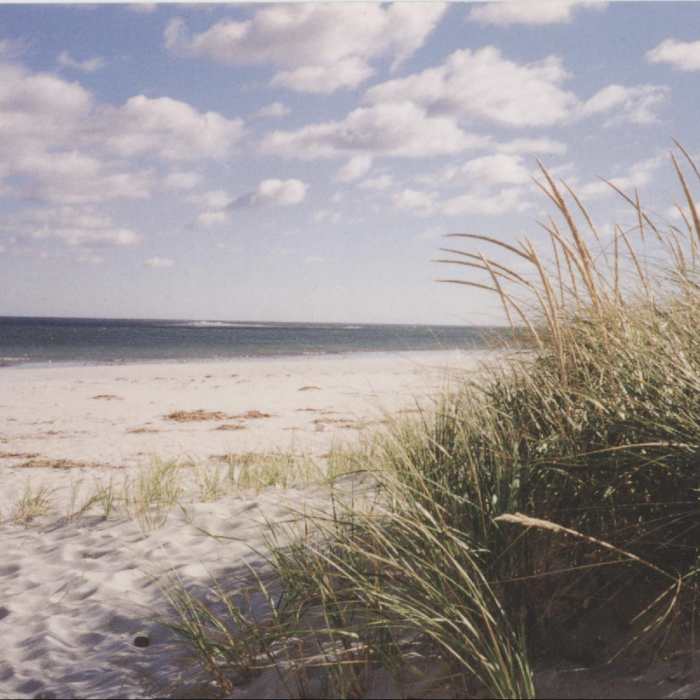Near Yellow Trail