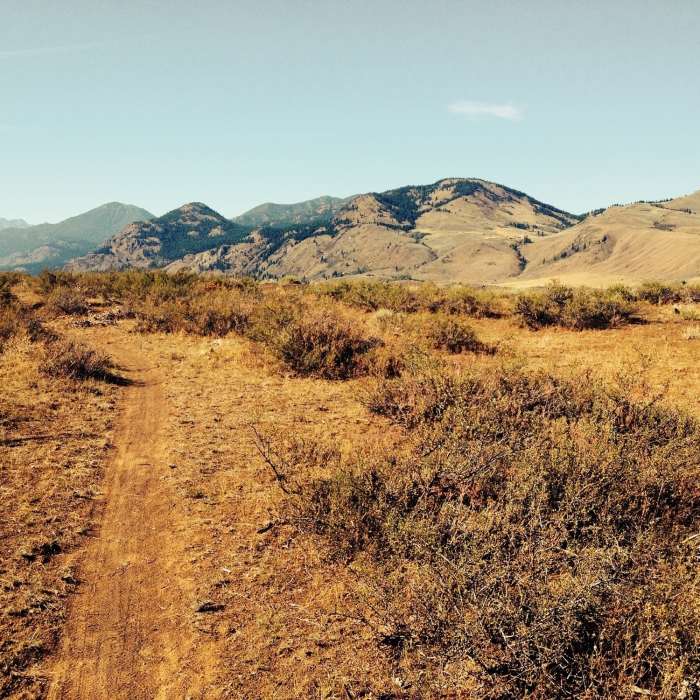 Near Black Bear Trail