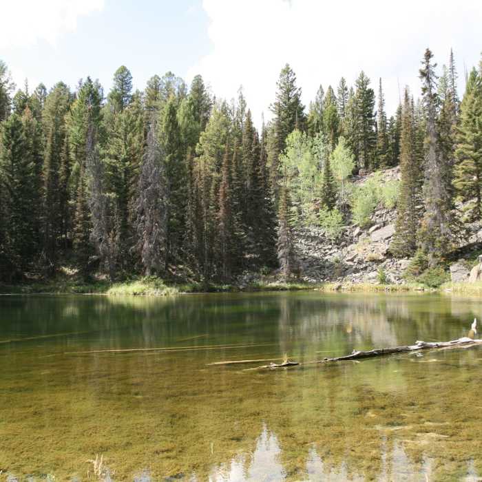 Near Sepulcher Mountain Trail