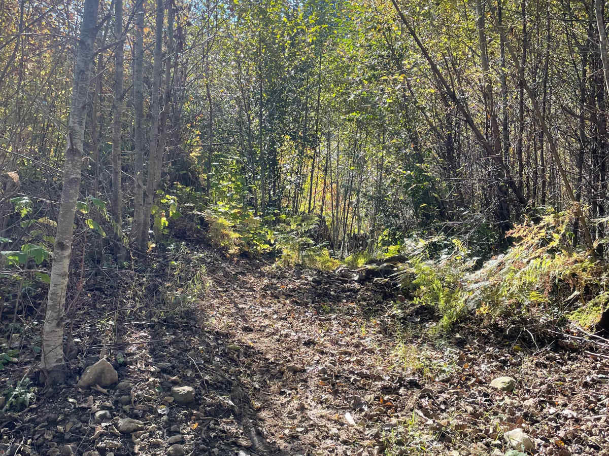 Lower Hydro Hill photo 5