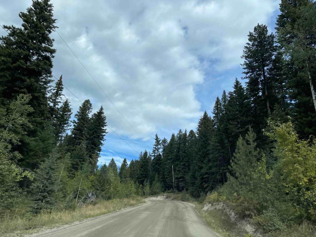 Falkland Chase Connector trail photo