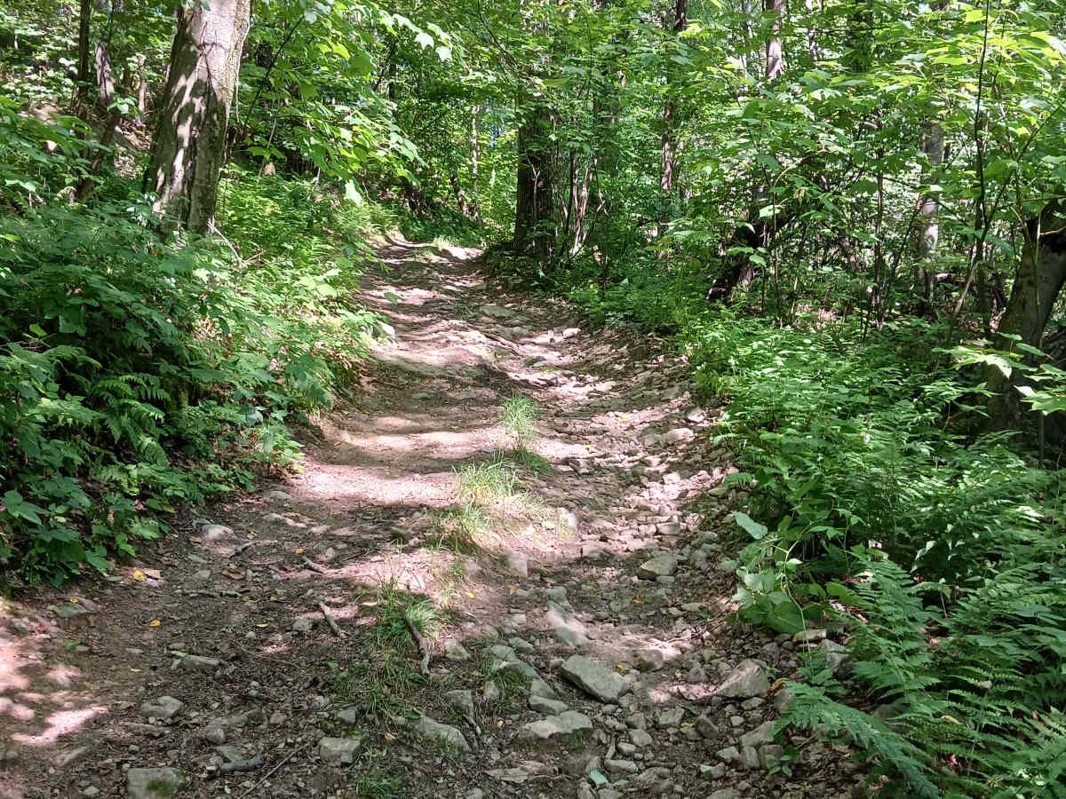 Trail 14B - Rock Run Recreation Area photo 3