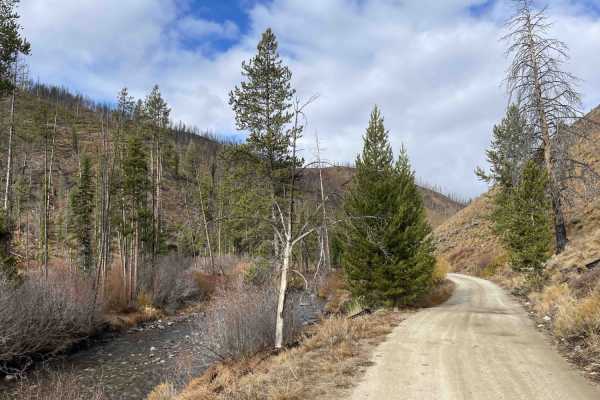 Basin Creek
