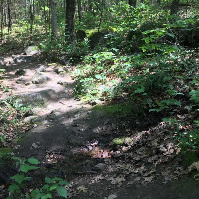 Oak Ridge Trail | Hiking Trail Maps, Difficulty, Trail Status | onX