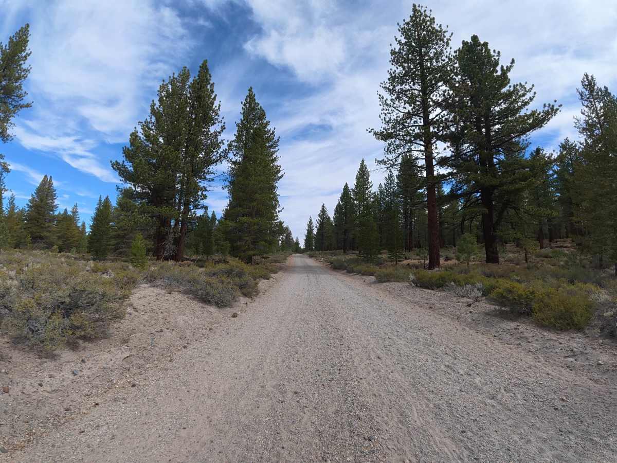 120 Cut-Off - FS 1S06 trail photo