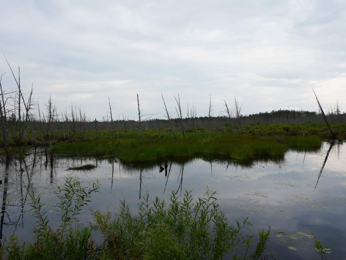 Oxbow Bear Den Trail photo 4