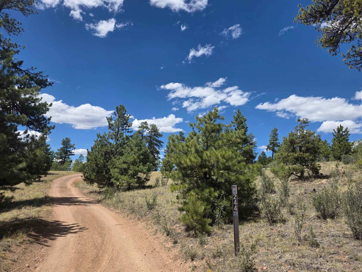Mistletoe Road - FS 244 photo 2