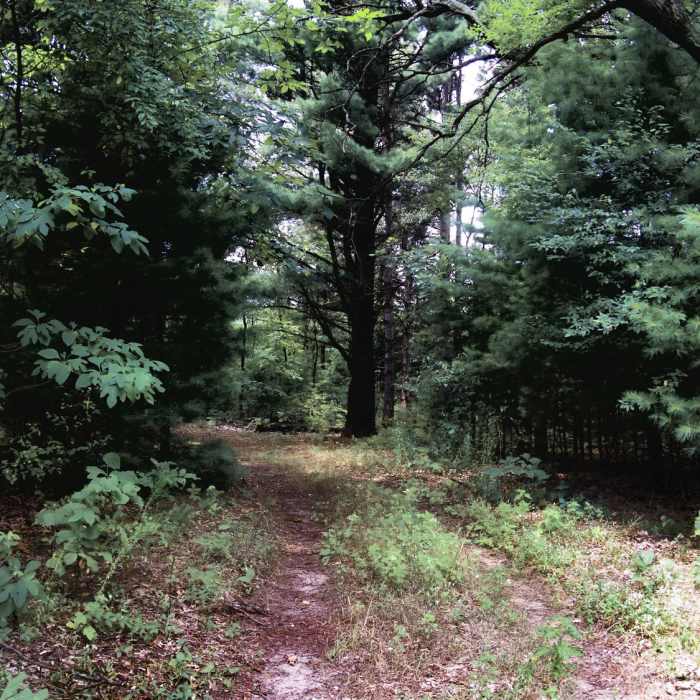 08northcountry_2456" by Michelle Caldwell (https://tinyurl.com/vfzzp29), Flickr licensed under Public Domain, CC0 1.0 (https://creativecommons.org/publicdomain/zero/1.0/) Near Graves Overlook Loop