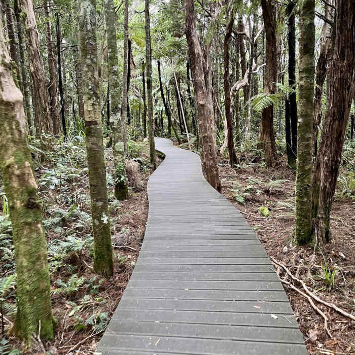 Near Karamatura Track to Mount Donald McLean