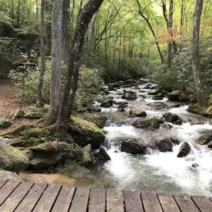 The Middle Saluda River near and across on Jones Gap Trail (to the left TH in pic and across bridge standing on, Jones Gap Ranger Station and emergency 911 phone since no cell signal). Near Jones Gap - Caesars Head Loop