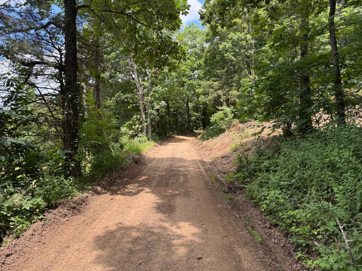 Oark Road photo 2