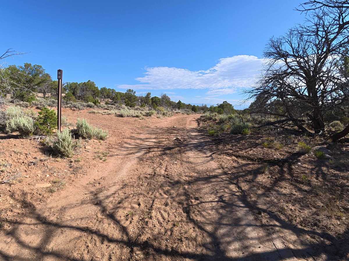 Roatcap Gulch Road photo 3