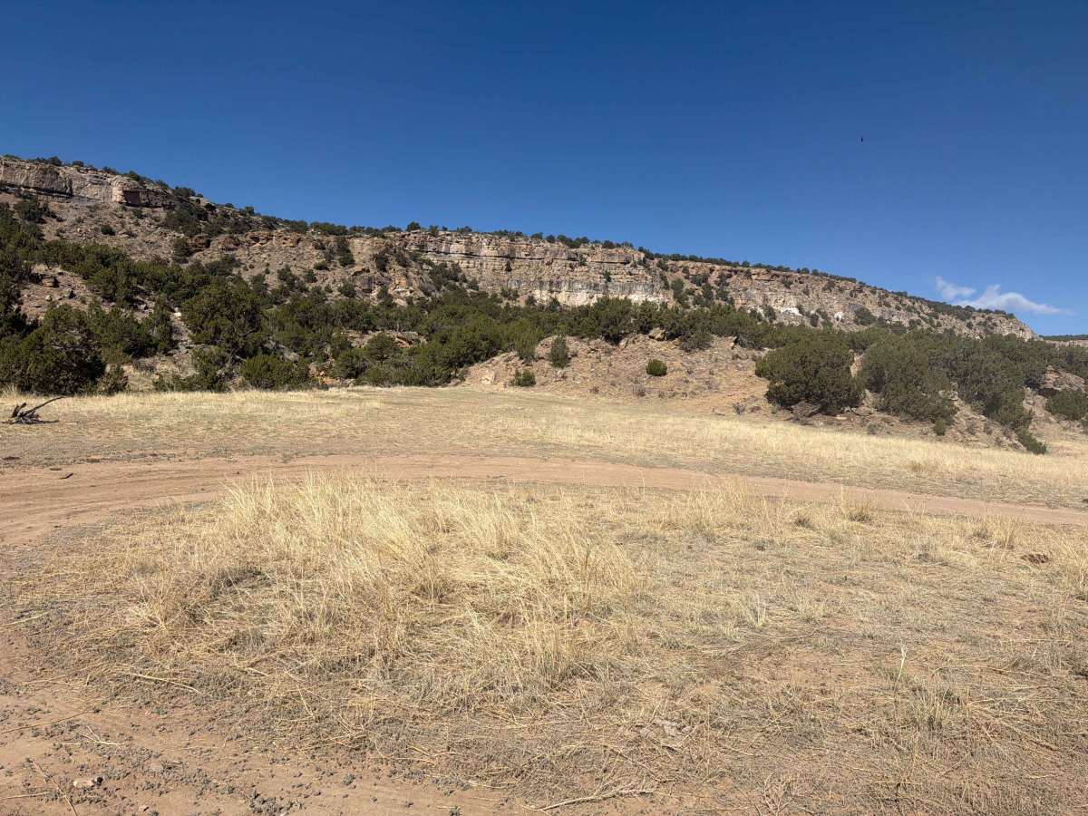 BLM 5935 A photo 3