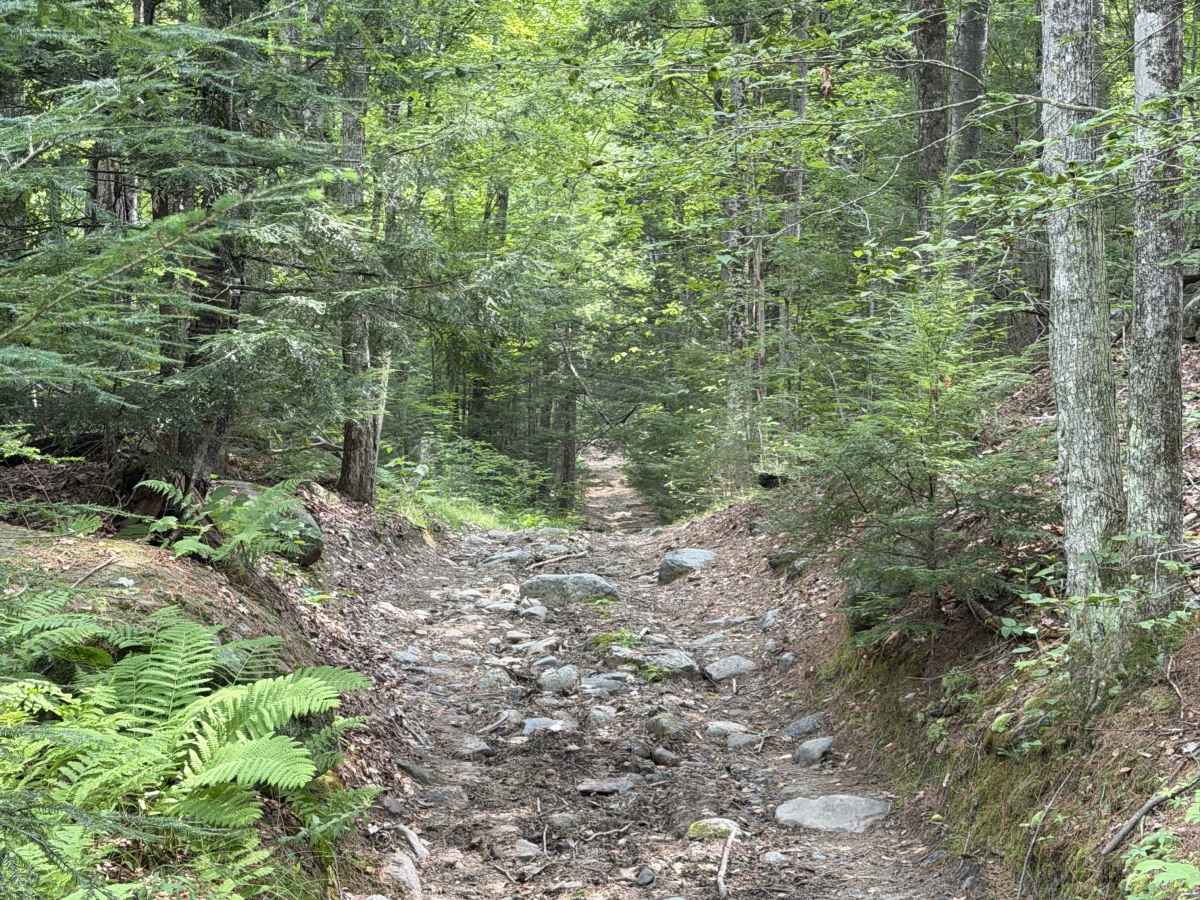 Bear Pond Road trail photo