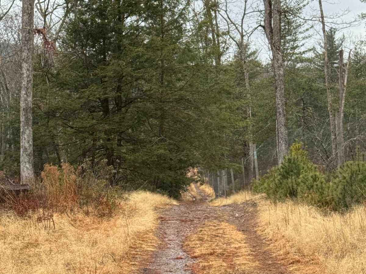 Pine Ridge Trail photo 6